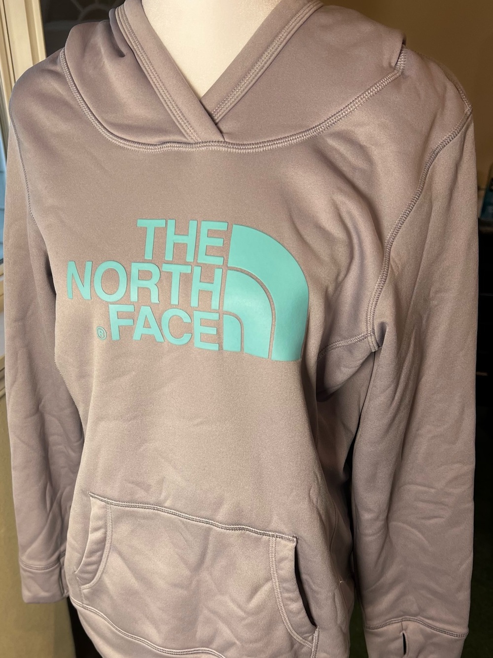 The North Face Dusty Mauve Hoodie with Aqua Logo